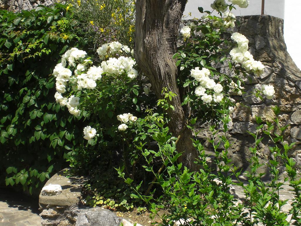 Casa Augusto Frühstückspension Capri